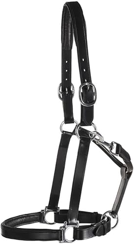 Dover Saddlery Suffolk Everyday Halter, Color Negro, Tamaño Cob-CS