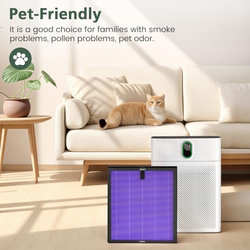 HY4866 True HEPA Replacement Filters Compatible with MORENTO HY4866, WESTHEY HY4866, YIOU M1 Air Purifier, 3-in-1 H13 Ture HEPA Air Filter, Multifunction Version, 2-Pack