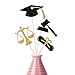 Law Graduation Centerpiece Sticks, Law School Grad Future Lawyer Graduation Party Centerpiece Sticks - Table Toppers Gold & Black Set of 12