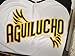 2025-2026 Official Águilas Cibaeñas Aguilucho Jersey Arrieta, Men's LIDOM Baseball Jersey, Stitched Twill (US, Alpha, Large, Regular, Regular) Yellow