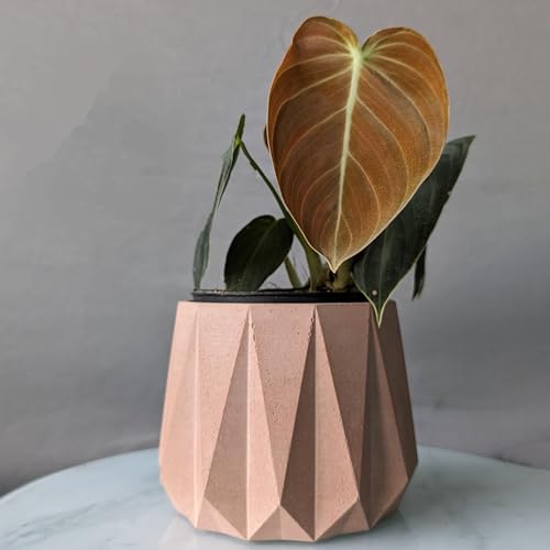 Image of Little Jungle X CuteCrete Sage Concrete Planter For 3 inch - 4 inch Pots (Pink)