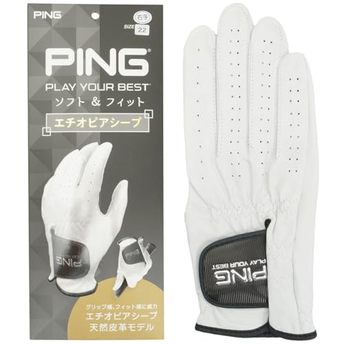 PING GL-P2301 rvO[u PING (iEpj24cm)