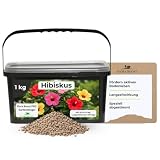 Flora Boost PRO Hibiskus Dünger mit Langzeitwirkung, 1KG Granulat