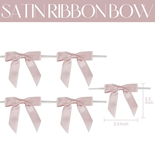 Aimudi Dusty Rose Ribbon Bows Wedding Decor 2.5" Pretied Small Pink Bows For Crafts Premade Satin Twist Tie Bows For Treat Bags Cake Pop Bows Mini Bows For Gift Wrapping Candy Apples - 50 Counts #TOP1