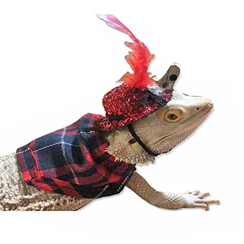 The Best Bearded Dragon Breed For 2022