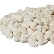 Relaxdays Marmorkies, 5kg, Dekosteine, 15-25mm, Kieselsteine, Gartenkiesel, Beet, Blumentopf, Grab, Zierkies, weiß