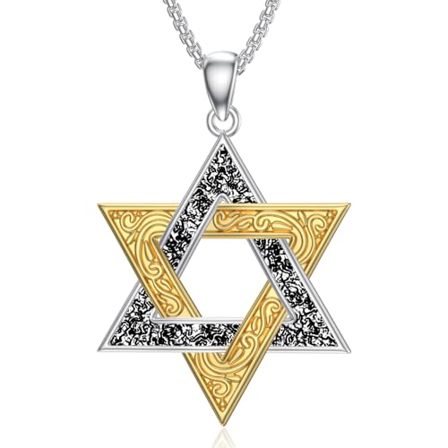 [StoryMidir] �Z䊐� �l�b�N���X �����Y �V���o�[925 �����A�����M�[�Ή� �_�r�f �l�b�N���X ���j�Z�b�N�X �`�F�[���t�� 50+5cm �A�W���X�^�[�t�� �v���`�i�R�[�e�B���O �j�����p �A�N�Z�T���[ �W���G���[ ���蕨 �M�t�g �a���� �v��