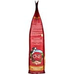 Purina ONE Chicken and Rice Formula Dry Dog Food - 8 lb. Bag - Image 3