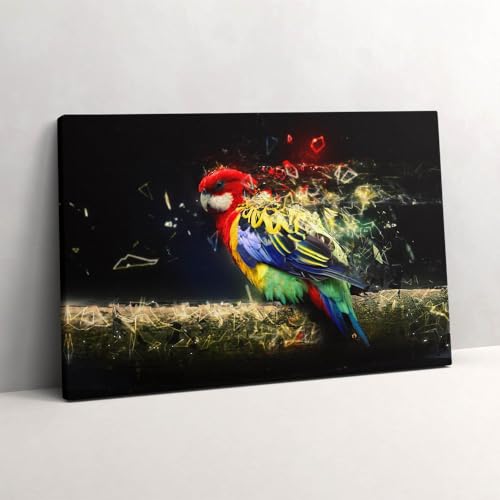 Tableau photo sur toile perroquet 60x40cm pour raviver un mur blanc vide