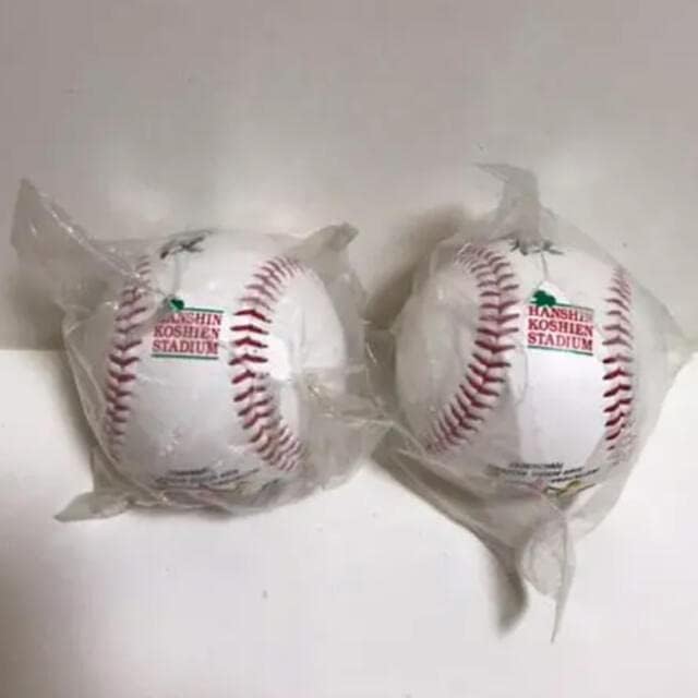 水樹奈々 サインボール 水樹奈々 直筆サイン入りチェキ