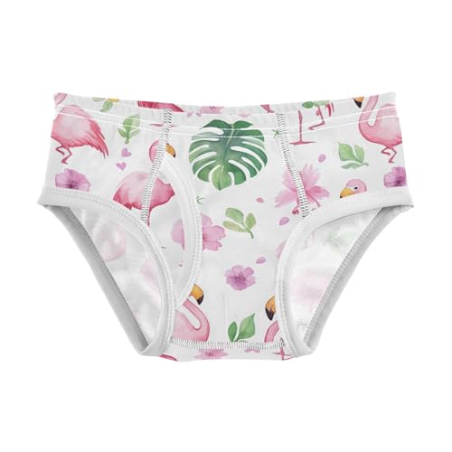 Wusikd Watercolor Pink Flamingos Boys' Underwear Cotton Pink Boys Briefs Soft Toddler Underwear 2T