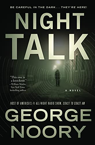 Night Talk: A Novel view 2