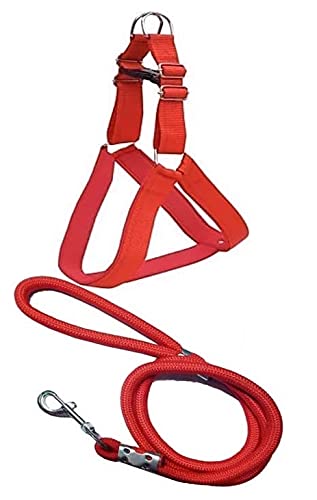 Senapati Dog Harness and Rope 15 MM Set (Red, Medium) (B092ZRJYQN) Amazon Price History, Amazon Price Tracker