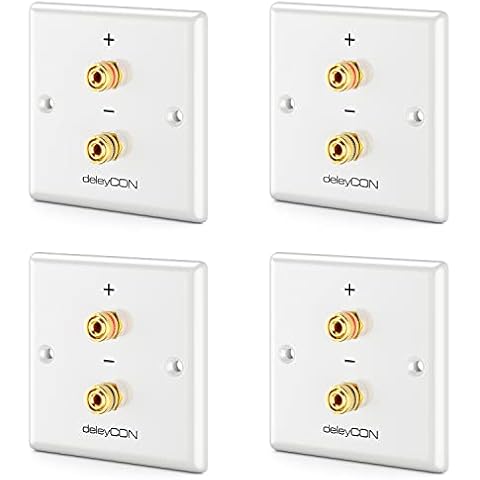 deleyCON 4 Pièces Prise Murale Multimédia Raccordement Haut-Parleurs Enceintes Plaque Murale Cover