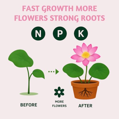 Image of Indian Gardens - NPK for Lotus Fertilizer (500 Grams) | 100% Water Soluble Plant Food | Boosts Flowering & Growth | Ideal for Home, Terrace, Pond & Garden Plants