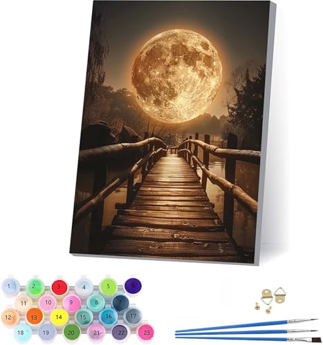 G  lp DIY yCgoCio[ i h G fW^GZbg uVƃANGt hG l̃NtgANeBreB Paint by Numbers z[ ItBX av[g 40x50cm B-