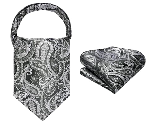 Image of HISDERN Ascot Ties for Men Paisley Floral Ascot and Pocket Square Set Classic Self Tie Mens Cravat Handkerchief for Wedding