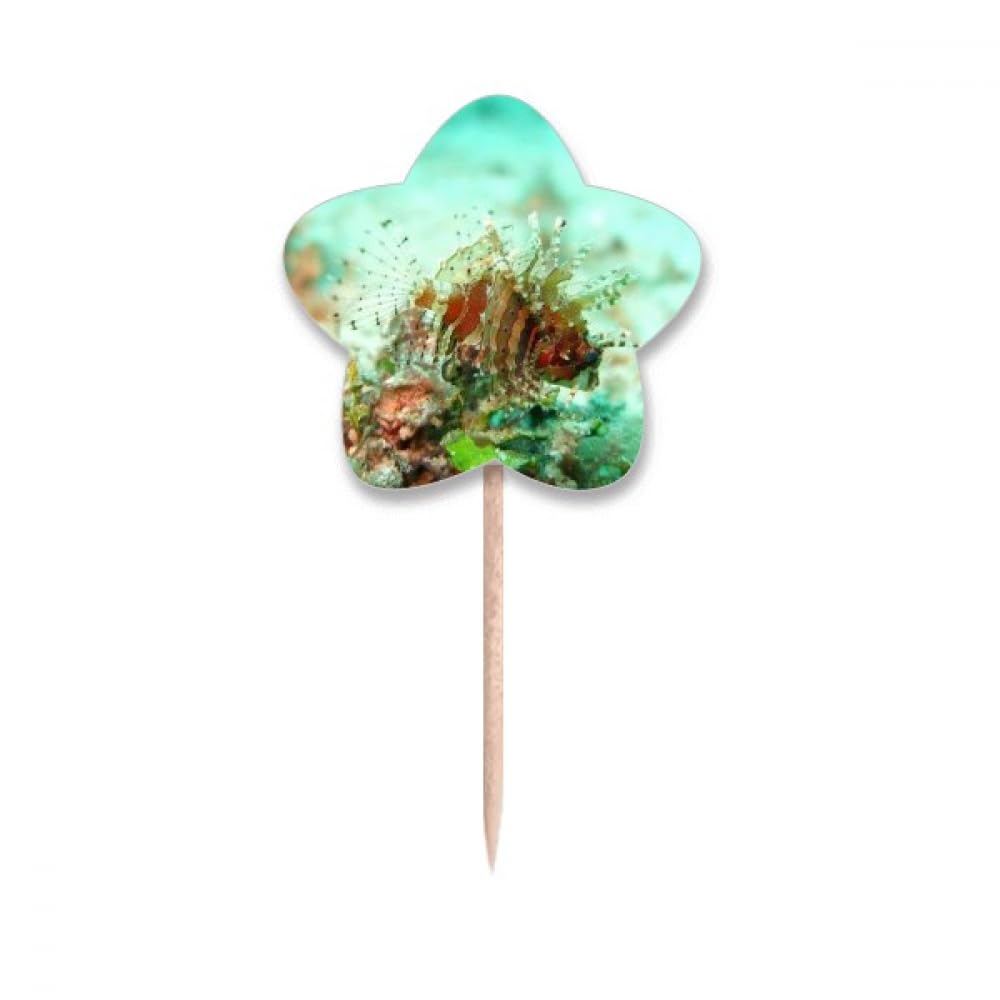 Drapeaux cupcake organisme marin et étoile de mer pour apéritif dînatoire