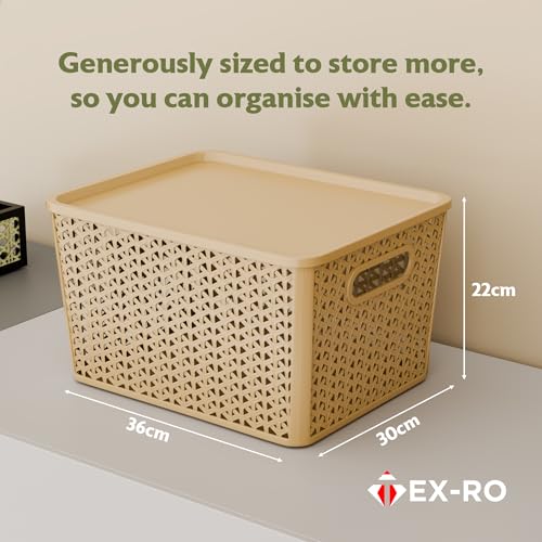 Image of TEX-RO Big Storage Box and Organiser | Storage & Organizers | Organizer Storage Box for Kitchen, Clothes | Durable Storage Basket With Lid & Plastic Basket for Storage (Pack of 3, multicolor)