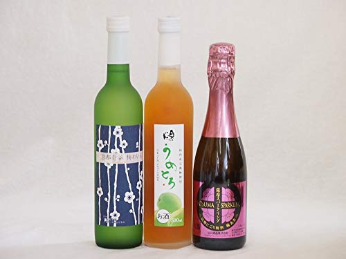 ~W3{Zbg(FXp[NOɂ~~v() sJ~킢(s) ̏Ďx[X߂Ƃ()) 375ml×1{ 500ml×2{