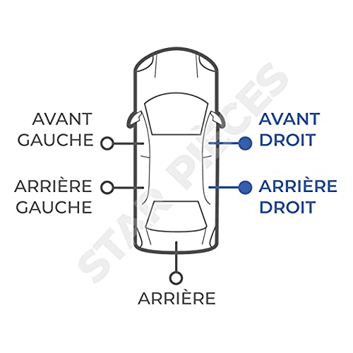 Maniglia porta esterna per Clio 2, Megane 1