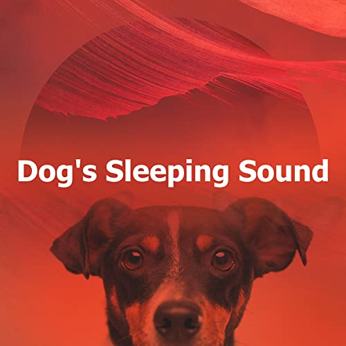 Amazon.com: Dog's Sleeping Sound : Music For Your Dog: Digital Music