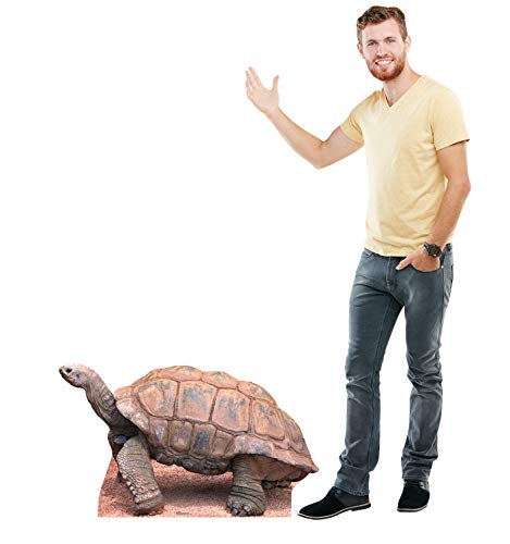 Image of Cardboard People Tortoise Life Size Cardboard Cutout Standup