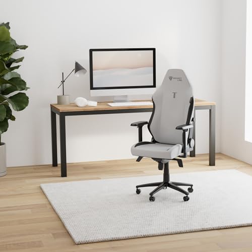 Secretlab Titan Evo XL chair