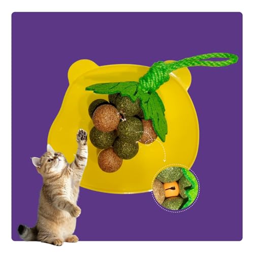 LpLbgjbvALbgjbv{[AXgO13ALeBvCgCALbgjbvEH[{[A~bNXt[o[AL̗̎VтƃN[jOAuhĚ`AǂɔL̃jbvB