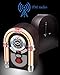 CD Jukebox with Bluetooth, Mini Digital Tabletop Juke Box Speaker Retro Look, Vintage FM Radio Wireless for Home, AUX-in Port and Color Changing LED Lights
