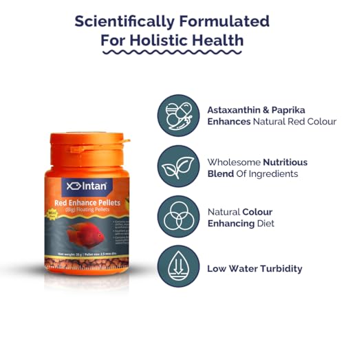 Image of Intan Red Enhance Pellets (Big 2.5mm Floating) | 30gm - Highly Nutritious Ornamental Fish Food for Parrotfish & Red Coloured Fish | Growel Feeds