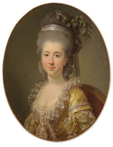 Portrait de la comtesse Urszula Potocka pour créer un salon chaleureux et raffiné