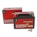 Produktbild Carbon Electric Gel Batterie Motorradbatterie (9Ah YTX9-BS_MF)