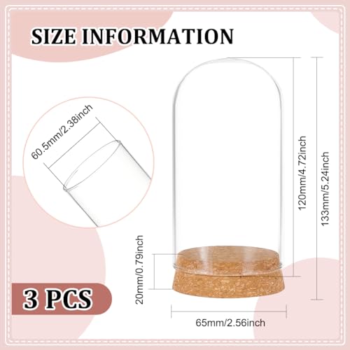 BENECREAT 3 Set Dome Display Glass Jar with Cork, 65x133mm Bell Cloche Glass Decoration Case for Flower Plants Specimens - Image 2