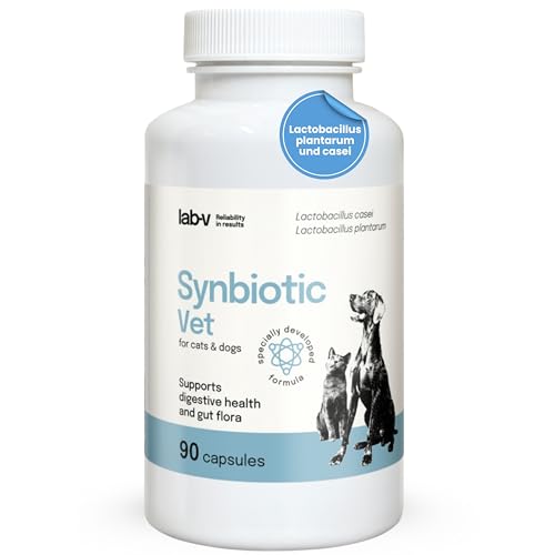Lab-V Synbiotic Vet 90 Kapseln, Probiotika Hund & Probiotika Katze mit Präbiotika, Darmkur Hund für gesunde Darmflora & Verdauung, Ergänzungsfuttermittel ohne Zusatzstoffe zur Darmgesundheit
