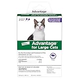 Advantage Topical Cat Flea Treatment and Prevention for Large Cats Over 9 lbs. | Apply Flea Drops Monthly | 2 Treatments