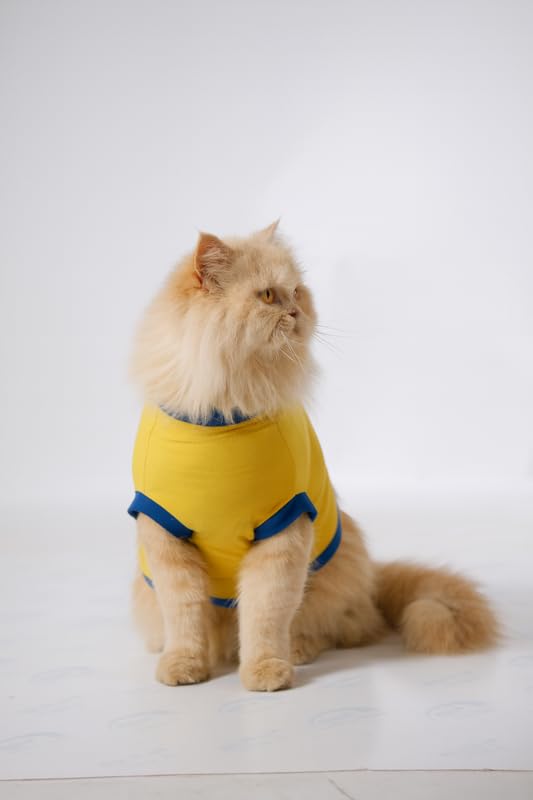Image of Thunder Tails Printed Cat T-Shirt for Small to Large Cats & Kittens | Lightweight Breathable Cotton Pet Apparel | Cute & Stylish, Comfortable Round Neck Cat Clothes (L, Yellow)