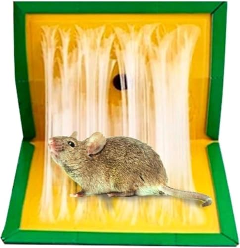 Trampa para Ratas y Ratones. Pack de 6 Trampas Adhesivas Ultra Adherentes y No Tóxicas | Diseño Plegable y Versátil | Eficacia Comprobada | No Agresivo con el Medio Ambiente (16,5 cm x 23 cm, 6)