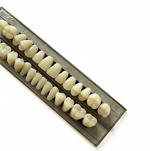 Image of 56pcs Dental Synthetic Resin Teeth Denture False Tooth Denture Model Teeth 2 Sets Halloween Horror Teeth, 23 A3