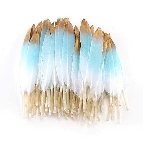 Sowder 50Pcs Colorful Gold Goose Feathers 4-6Inch(10-15Cm) For Art Craft Party Decoration Clothing Accessories Duck Feather(Blue&Gold) #TOP13