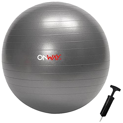 ONWAY 1 x Gymnastikball mit Pumpe Fitnessball 55 cm Durchmesser grau OFA1021-55PP