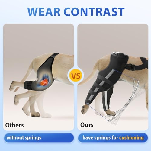 Image of Double Dog Knee Brace for Torn Acl Hind Leg, Double Dog Leg Braces for Back Leg for Support,Acl Brace for Dogs, Built-In Hard Metal Spring Support,Outer Night Reflective Strip,Adjustable Strap (Small)