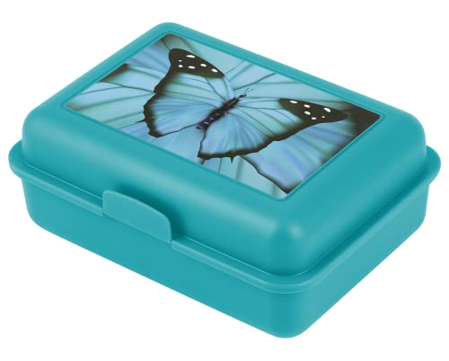 Baagl Brotdose Kinder für Schule – Lunchbox für Mädchen, Jungen,...