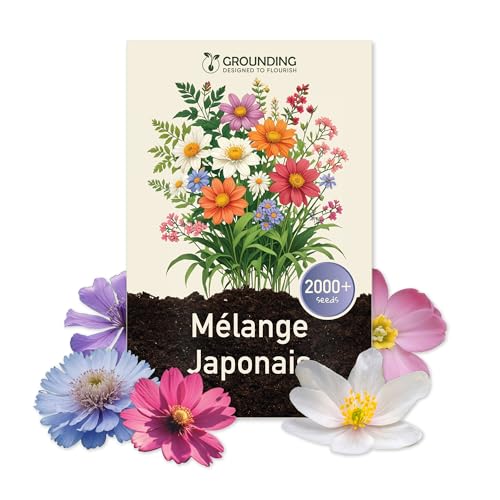 Grounding - Graines de Mix Prairie Fleurie Japonaise, 2000+ graines, hauteur max 30 cm - floraisons multicolores - Idéal pour massifs, bordures - Semis facile - Qualité Européenne