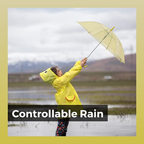 Controllable Rain