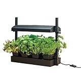 Garland G187 Kleiner Wachstumsgarten mit Licht (1 x 11 W), schwarz, 50 x 20 x 45cm