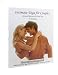 Intimate Yoga For Couples with 270 Color Photos & Free DVD