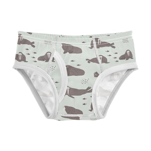 Boys' Underwear Cotton Little Boys Walrus Briefs Soft Toddler Underwear 2T-8Y
