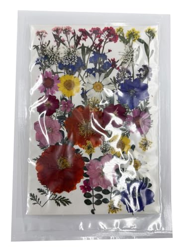 Natural Real Dried Pressed Mix Flower Leaf, 48 piezas miniatura 4