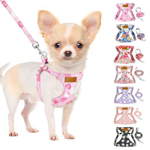 SlowTon Perros pequeños con Tirantes de Perro: Tirantes de Perro Ligeros y Suaves sin tracción, Ajustables, con Tirantes y Hebillas, adecuados para Tirantes de Pecho para Perros pequeños y medianos